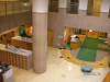s_PICT0146_thumb.png
